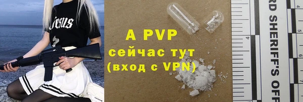 шишки Бородино
