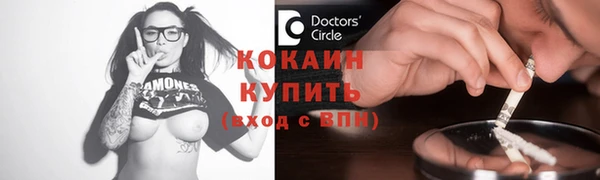 шишки Бородино
