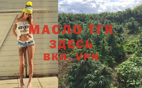 шишки Бородино