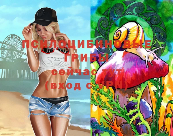прущие крисы Бронницы