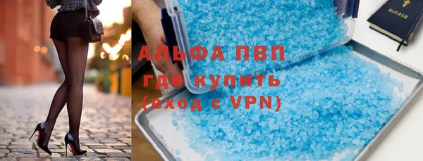 шишки Бородино