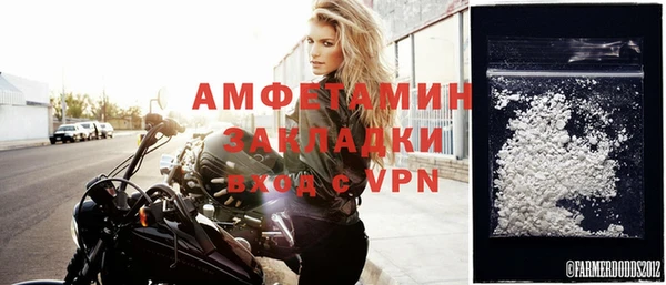 шишки Бородино