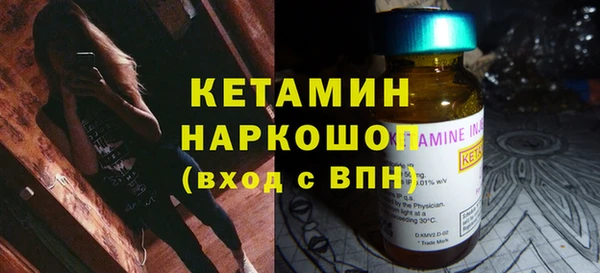 шишки Бородино