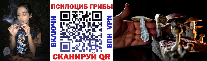 Псилоцибиновые грибы мухоморы  Купить где  Ладушкин 