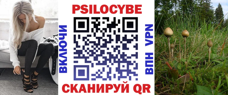 Галлюциногенные грибы Psilocybine cubensis Ладушкин