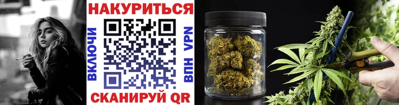 Канабис планчик  Купить где  Ладушкин 